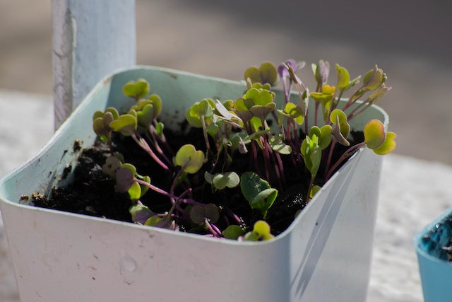 Breaking Down Fertilizers: The Gist