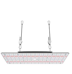 SunGrow Quantum LED Grow Panel