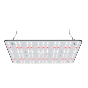 SunGrow Quantum LED Grow Panel