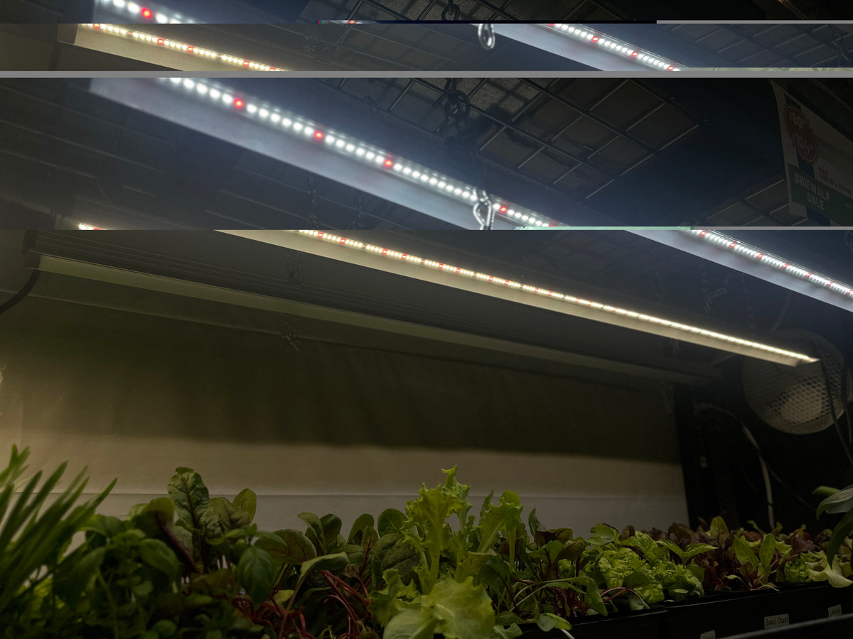 GrowTronics Series 3 T5 LED Grow Light