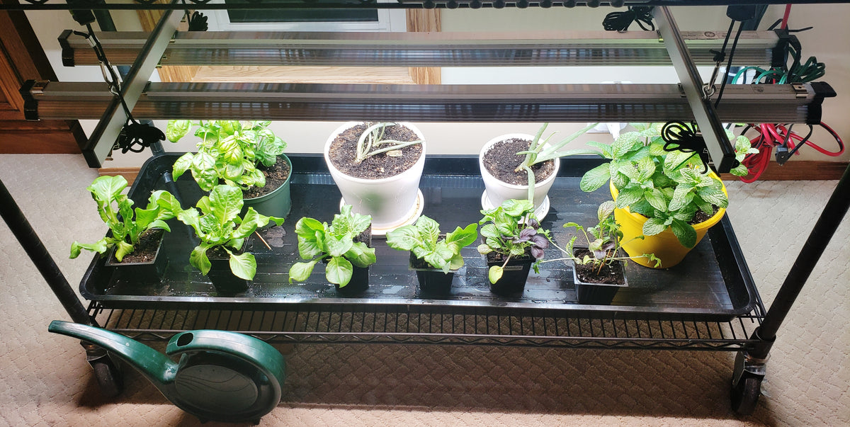 GrowTronics Series 2 T5LED Grow Light