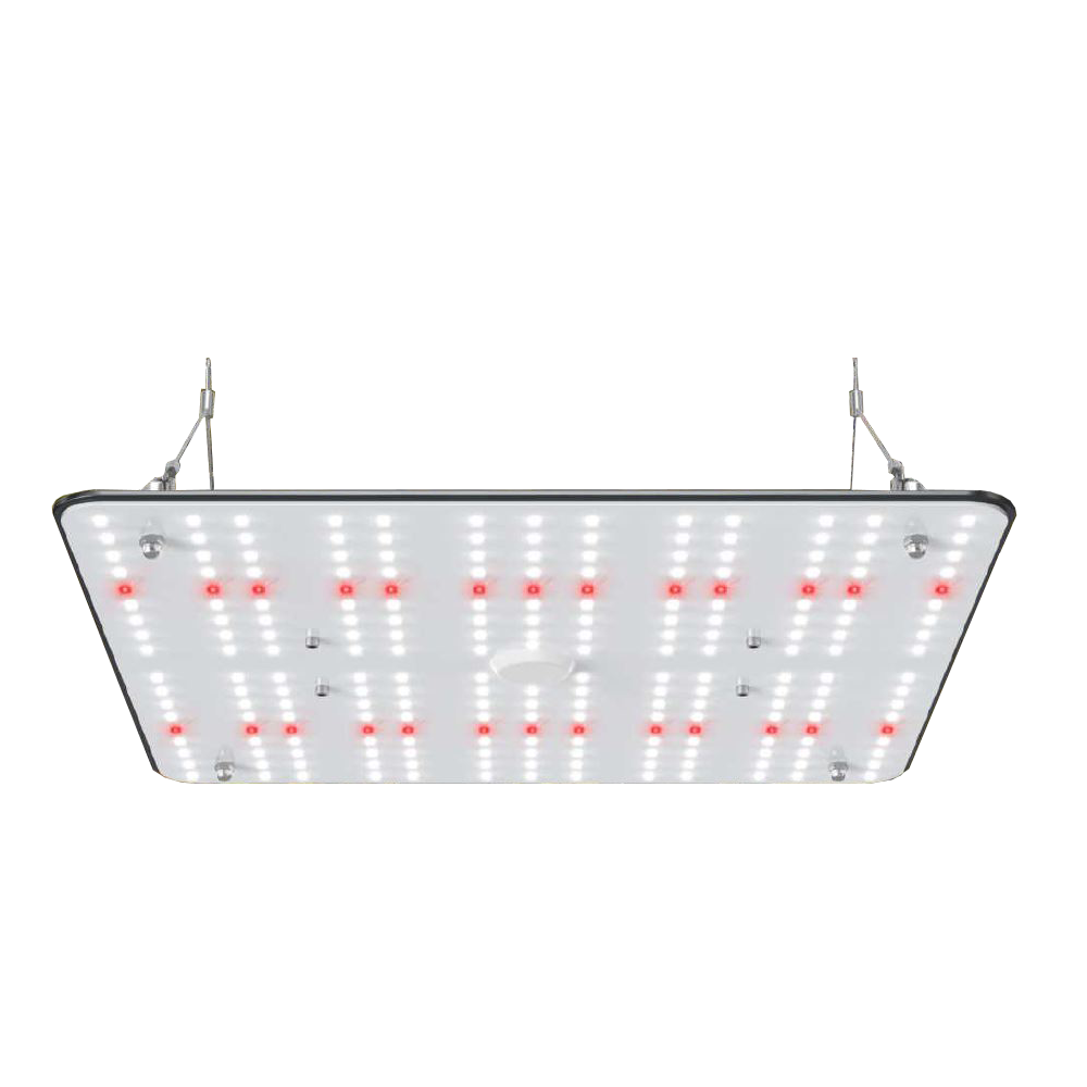 SunGrow Quantum LED Grow Panel